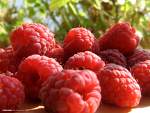 Fruit & Berry Colored Cones