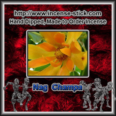 Nag Champa - Black Incense Sticks - 20 Count Package