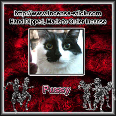 Pussy [Type] - Charcoal Incense Cones - 20 Count Package